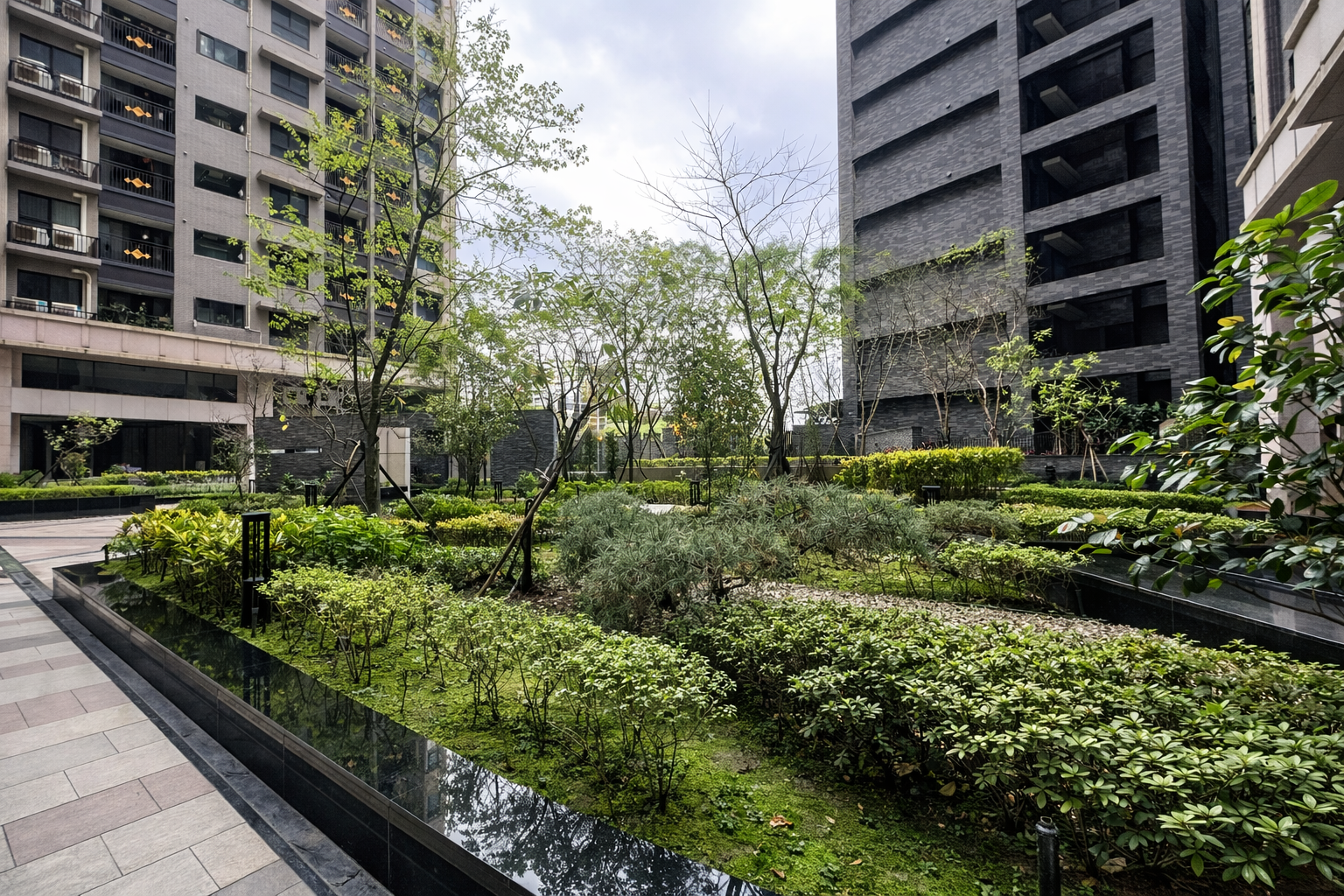 中庭花園